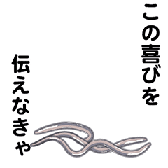 Anisakis2