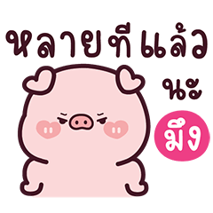 พิ้งกี้หมูผู้น่ารัก5