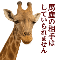 Nice Animal Book Poison Spitting Giraffe