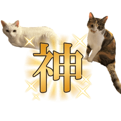 アルコロちゃん