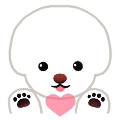 Bichon Yallet