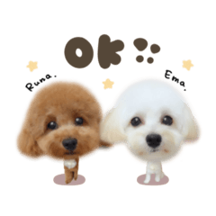えまちゃん♡るなちゃんdeformation