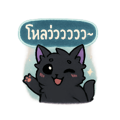 มู้ดแมววันนี้