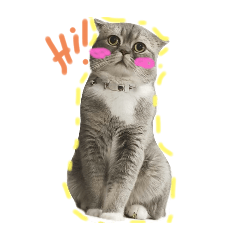 Chotchanit_20250713205011