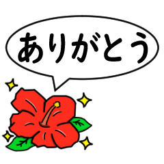 ハイビスカスの花（日常会話用）