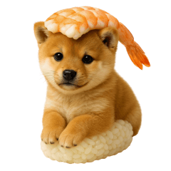 Sushi Shiba Inu