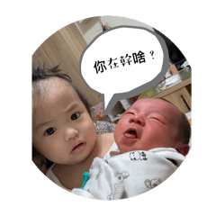 小湯包成長史