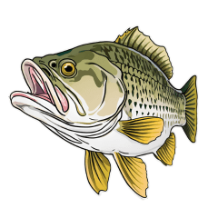 ブラックバスとその仲間たち【タイ語ver】