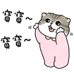 奶油小生要找寶寶(虎斑貓)粉