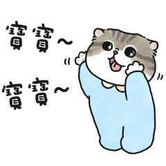 奶油小生要找寶寶(虎斑貓)藍