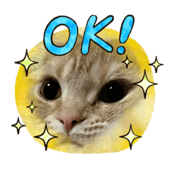 CHIHIRO_20250715030539