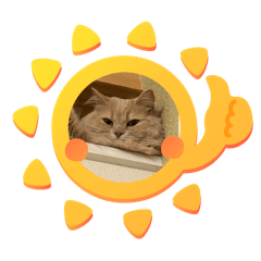 Angel_20250714144231