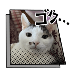 Yasu_20250713233010