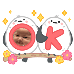 suzu_20250714095756