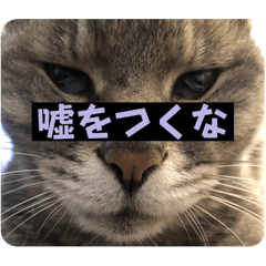 iku_20250714152950