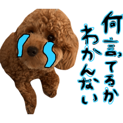 akari_20250714172139