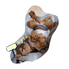 naachan_20250713202159