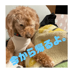 nao_20250713212236