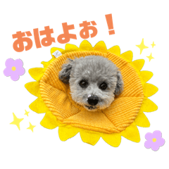 yuka_20250714181120