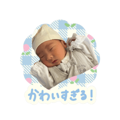 moe_20250713213435