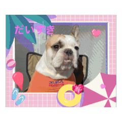 Rita_20250714162725