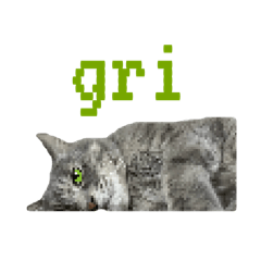 non_20250714130458