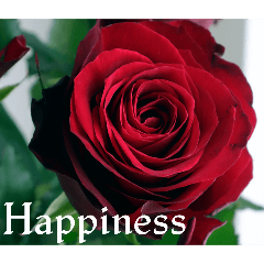 potato_20250713235400