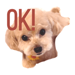 kiki_20250713220810