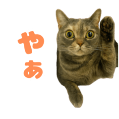 Arisa_20250714074212