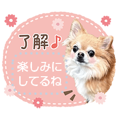 Pino♡日常スタンプ