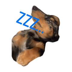 17_20250714184528