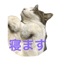 RYO_20250714184859