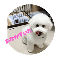 Omochi_20250713224016