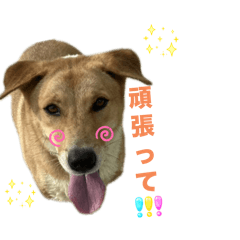 kaori_20250714120702