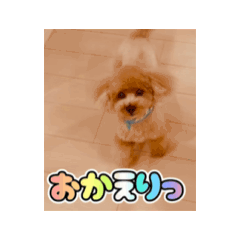 saeko_20250715001149