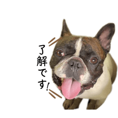 honey_20250714192916