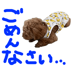 pinopalm