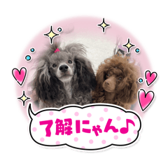 nico_20250714161936