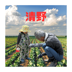 Masa_20250712195218