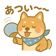 aichan_20250714125932