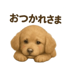 Chill Labrador Retriever Stickers