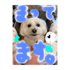 yuka_20250714155744