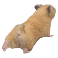 ナゲット君スタンプ第5弾