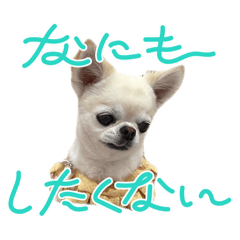 ym_20250714201026
