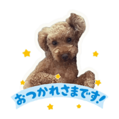aym_20250714132547