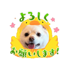 TSUNA_20250714223651