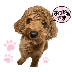 HARRY_20250714212952