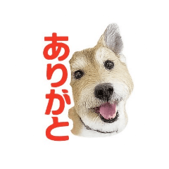 Ryo_20250714192248