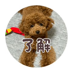 nao_20250714193519