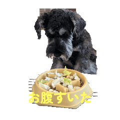 mochi_20250714222941
